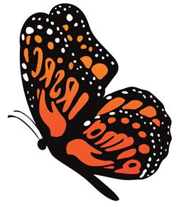 IRSRC butterfly logo